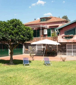 La Casa Del Ficus